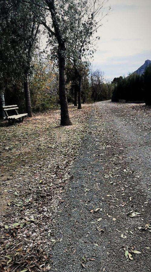דירות Villanueva de Río Segura Apartamento En Puerta Valle Ricote Y Archena מראה חיצוני תמונה
